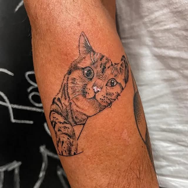 Tatuagem estilo Fineline feita por Jeff Tattoo — estúdio de tatuagem em Gaspar, SC